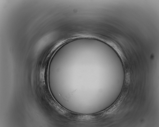 X0000095961150200801181439