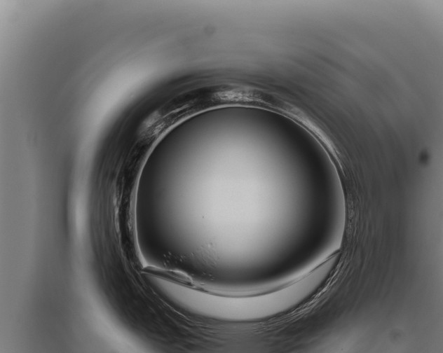 X0000095961151200801181439