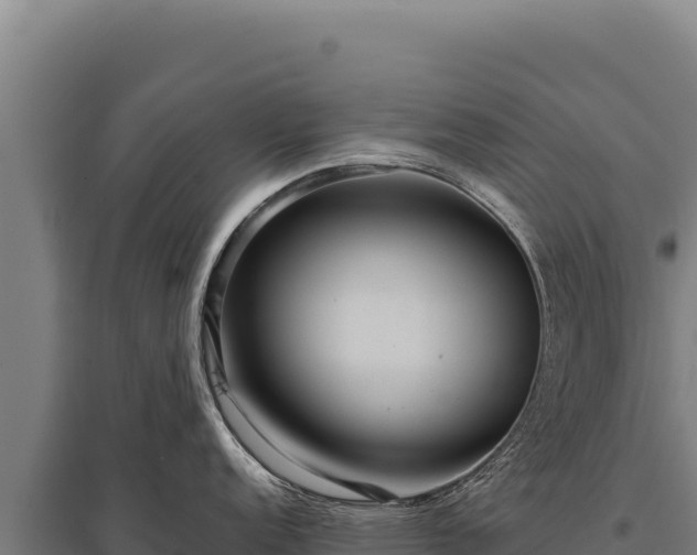X0000095961152200801181439
