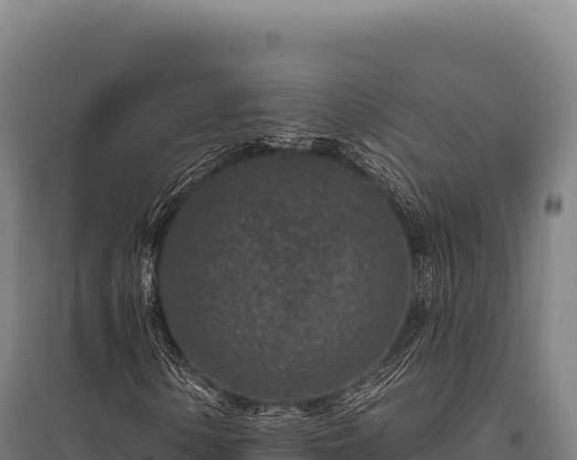 X0000095961154200801181438