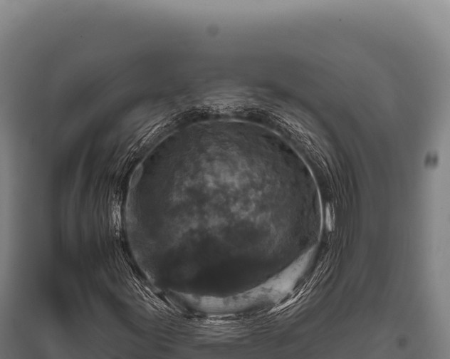 X0000095961155200801181438