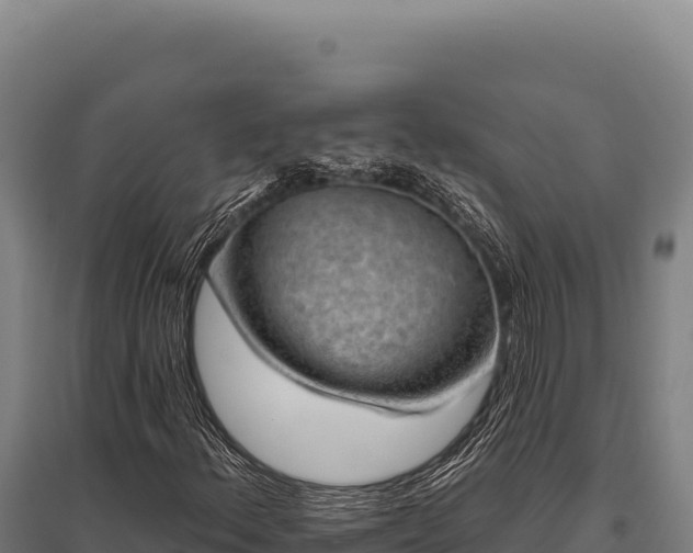 X0000095961156200801181438