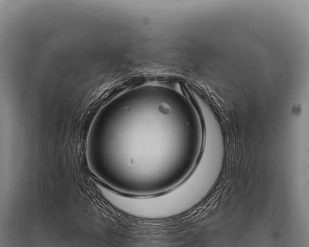X0000095961157200801181438