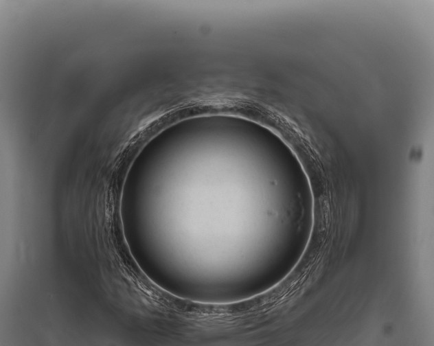 X0000095961158200801181438