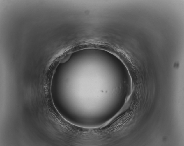 X0000095961159200801181438