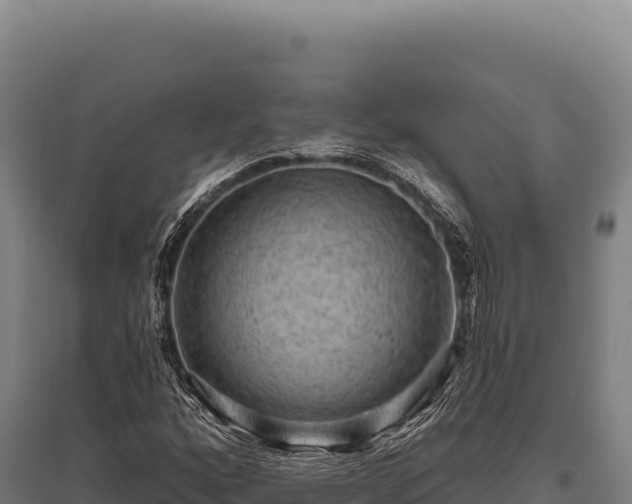 X0000095961160200801181438