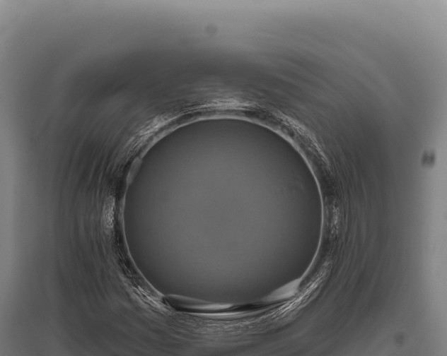 X0000095961161200801181438