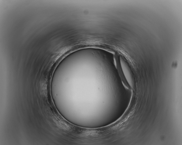 X0000095961162200801181438