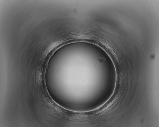 X0000095961163200801181438