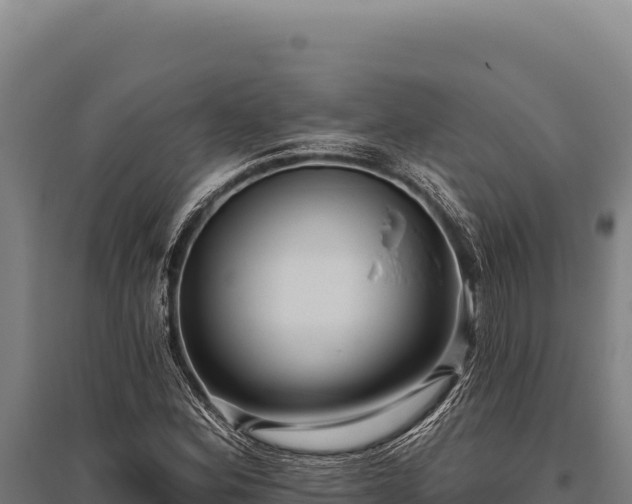 X0000095961164200801181438