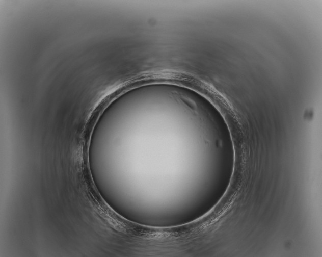 X0000095961166200801181438