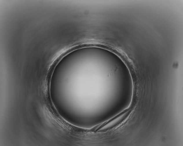 X0000095961167200801181438