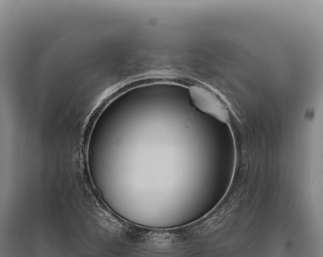 X0000095961168200801181438