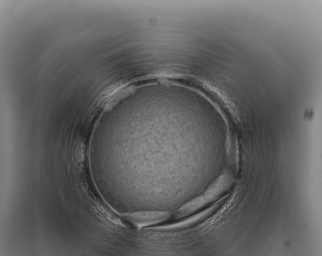 X0000095961169200801181438