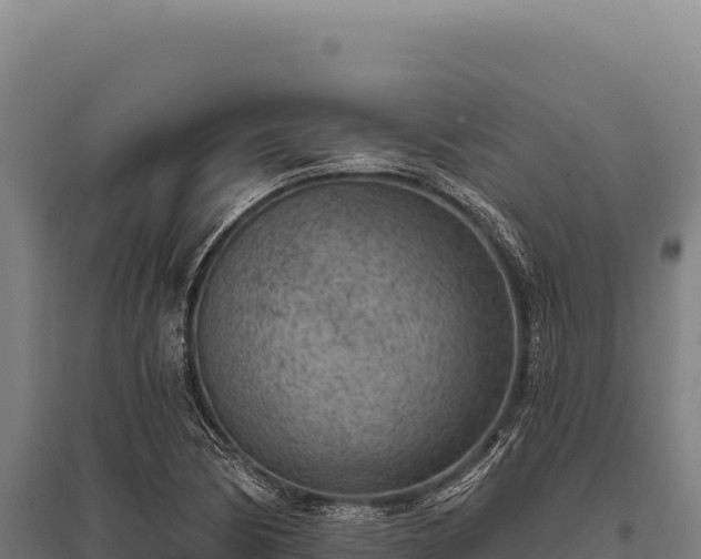 X0000095961170200801181438