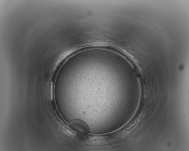 X0000095961171200801181438