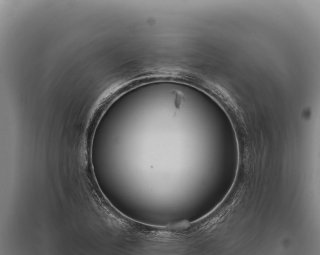 X0000095961172200801181438