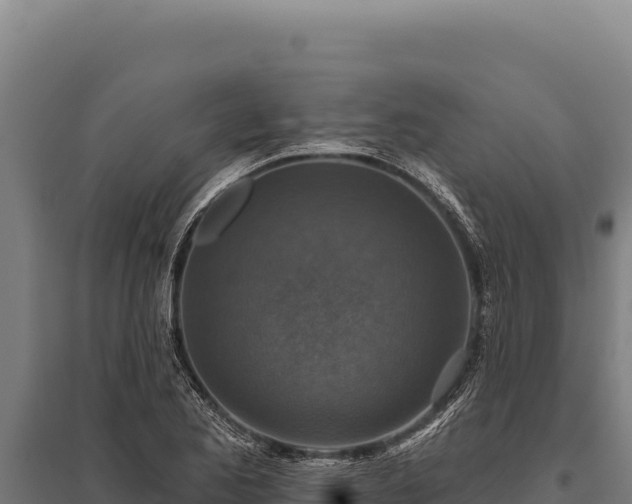 X0000095961173200801181438