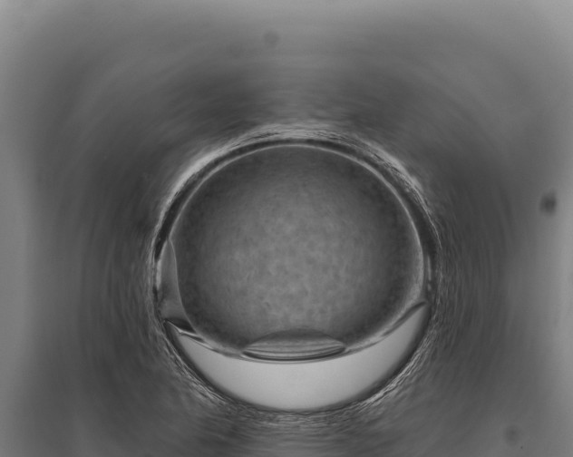 X0000095961174200801181438