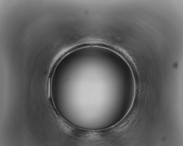 X0000095961175200801181438
