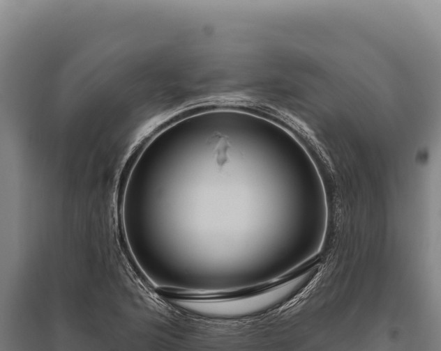 X0000095961176200801181438