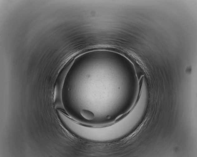 X0000095961177200801181438