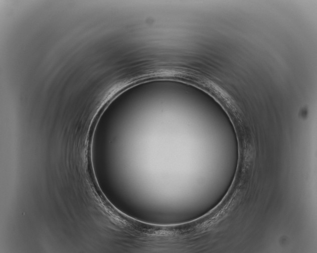 X0000095961178200801181438