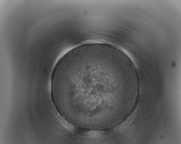 X0000095961179200801181438