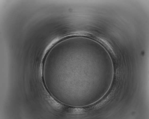 X0000095961180200801181438