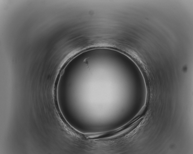 X0000095961181200801181438
