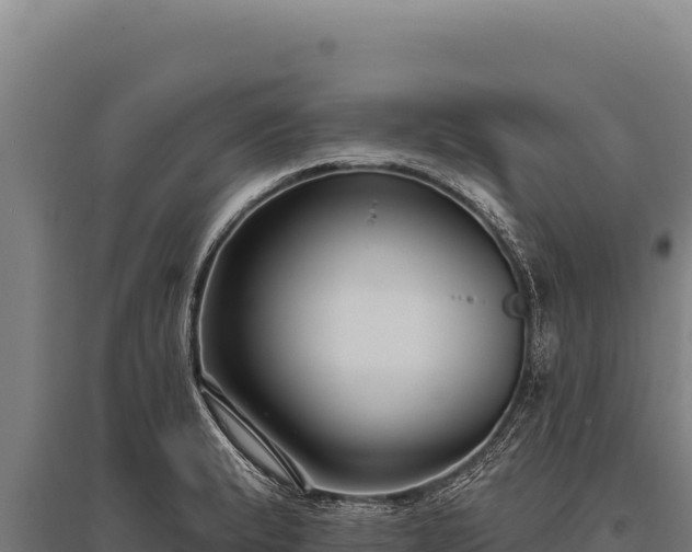 X0000095961183200801181438