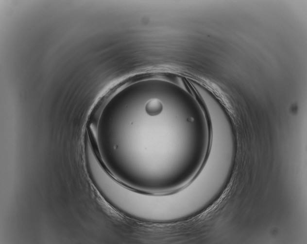 X0000095961184200801181438