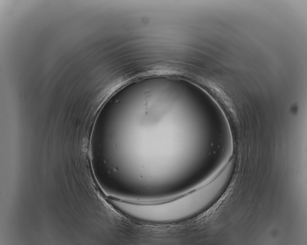 X0000095961185200801181438