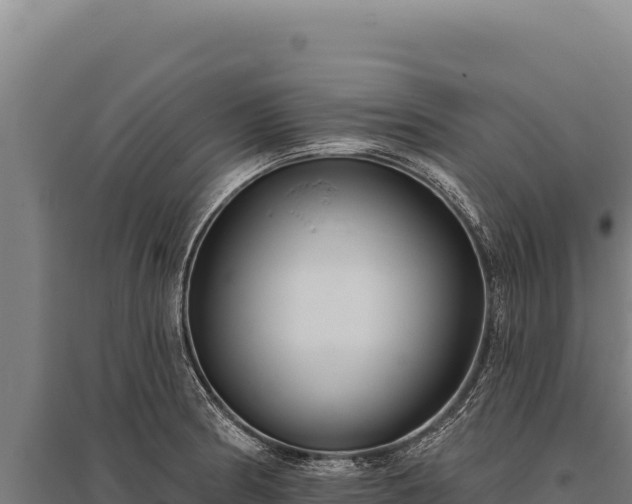 X0000095961186200801181438