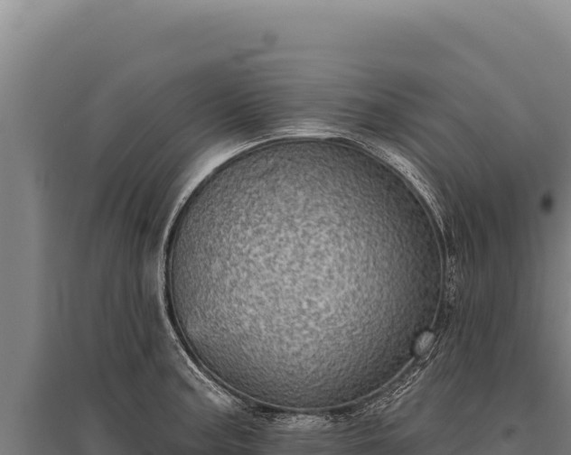 X0000095961187200801181438