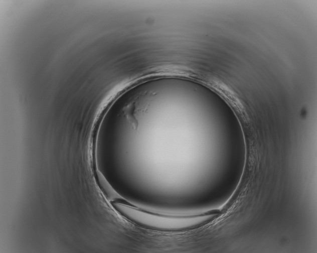 X0000095961188200801181438