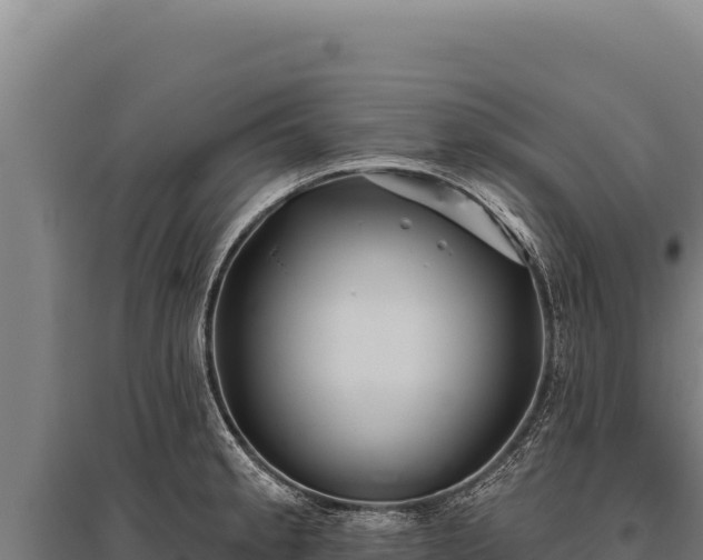 X0000095961189200801181438
