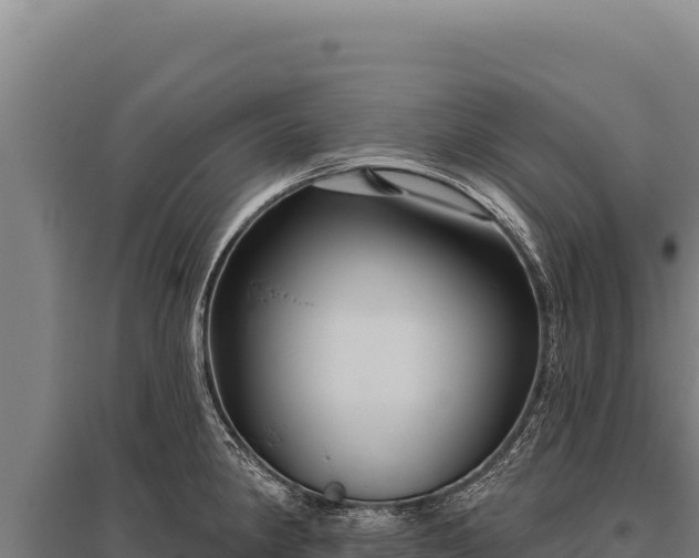 X0000095961190200801181438