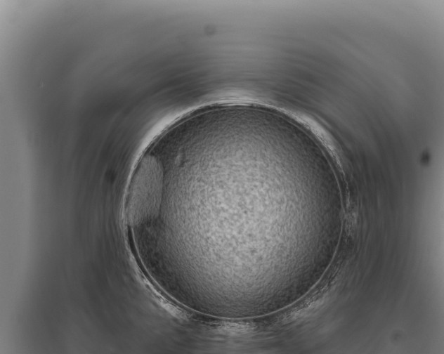 X0000095961191200801181438