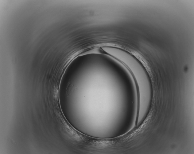 X0000095961193200801181438