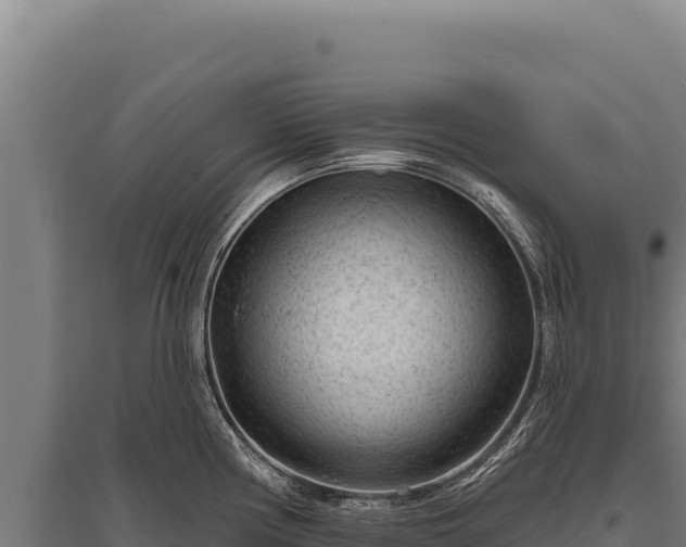 X0000095961194200801181438