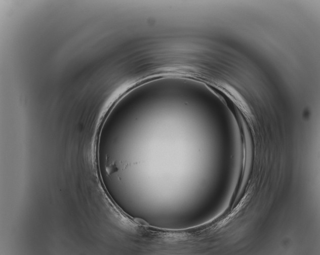 X0000095961196200801181438