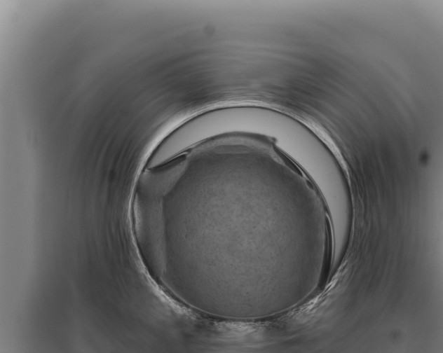 X0000095961197200801181438