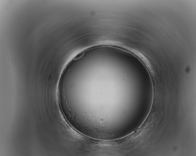 X0000095961199200801181438