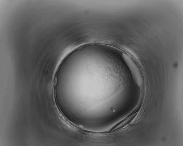 X0000095961200200801181437