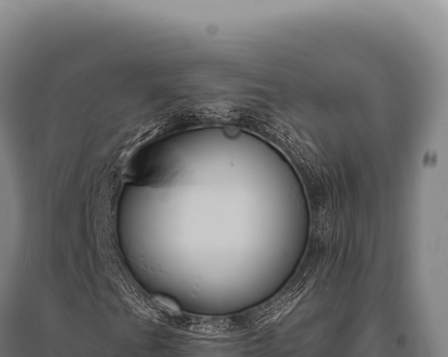 X0000095961201200801181437