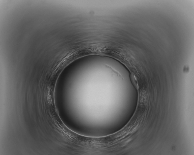 X0000095961202200801181437