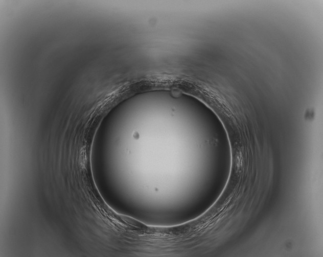 X0000095961204200801181437