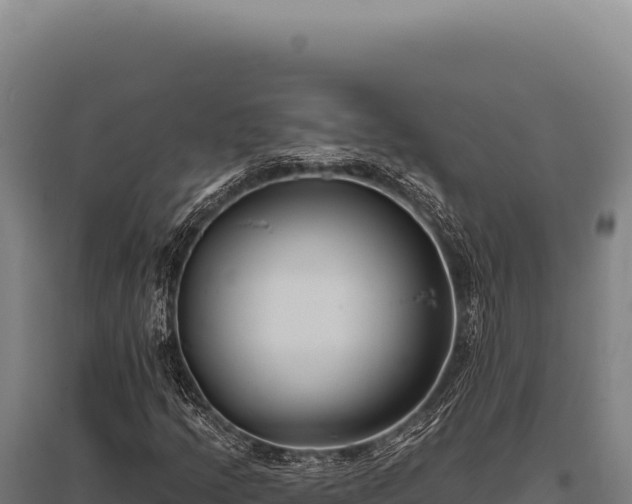 X0000095961205200801181437