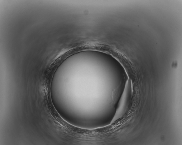 X0000095961206200801181437